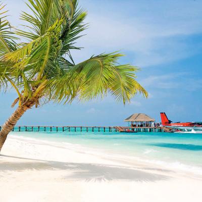 Honeymoon Maldive Island